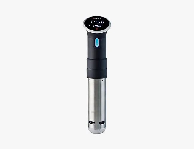 Anova-Precision-Cooker-gear-patrol-650