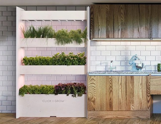 Click-Grow-Wall-Farm-gear-patrol-650