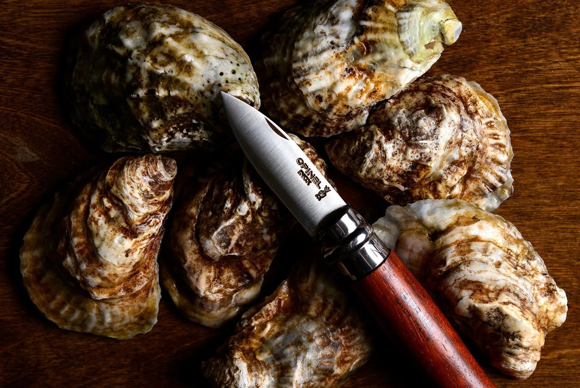 Opinel-Folding-Oyster-Shellfish-Knife-gear-patrol-970