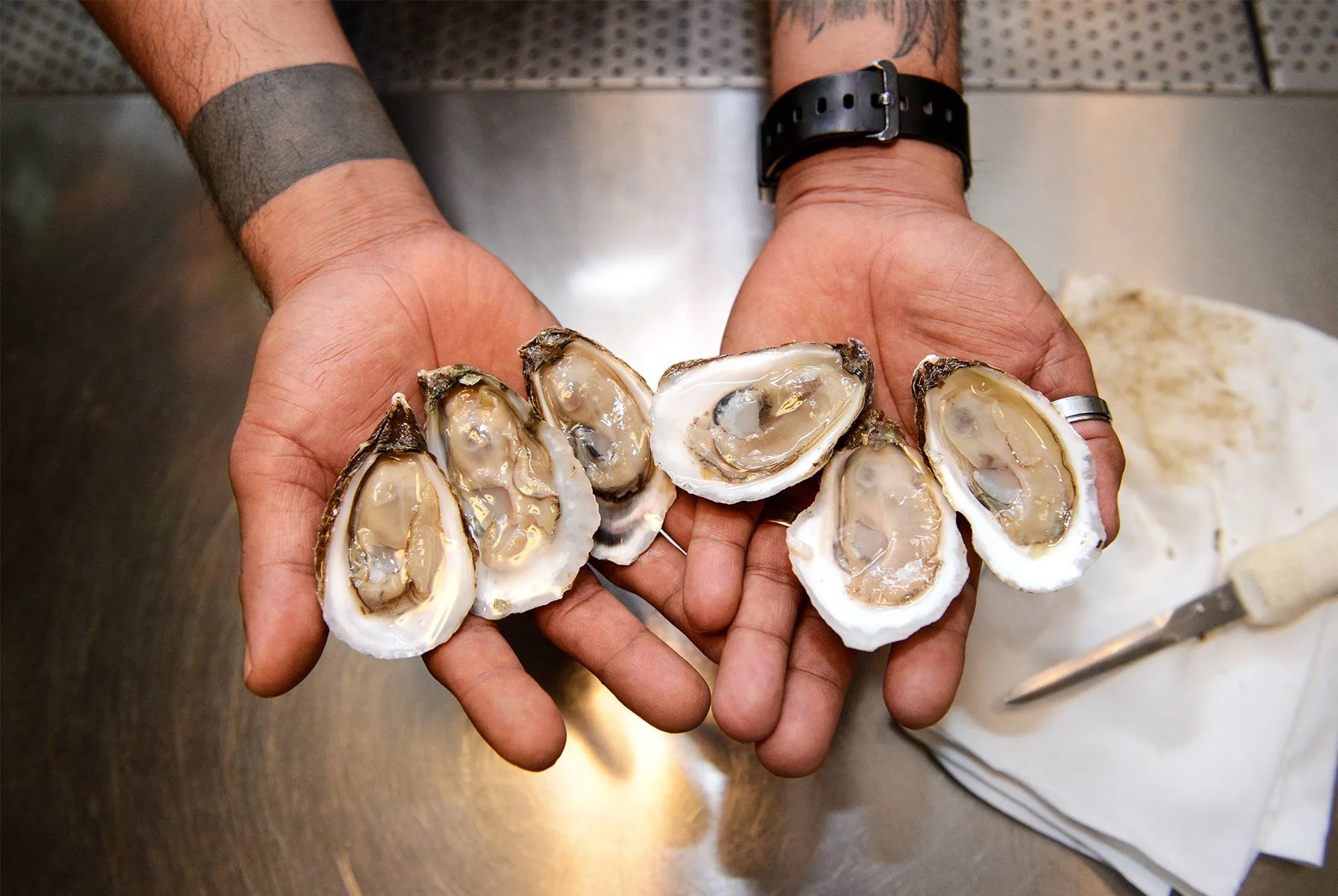 oysters held in a mans hands