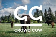 Crowd-Cow-Gear-Patrol-Lead-Full