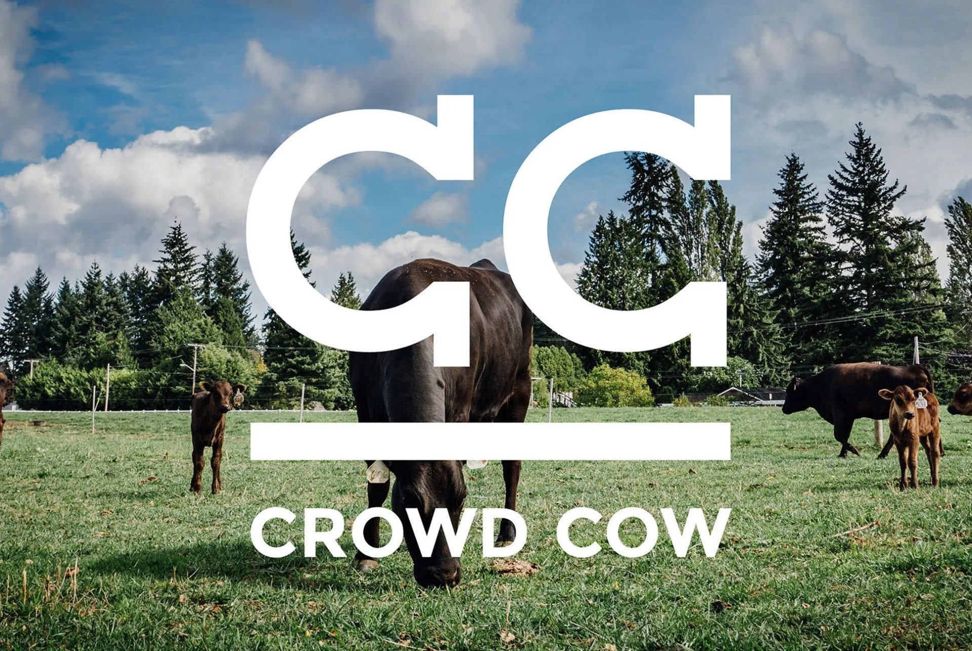 Crowd-Cow-Gear-Patrol-Lead-Full