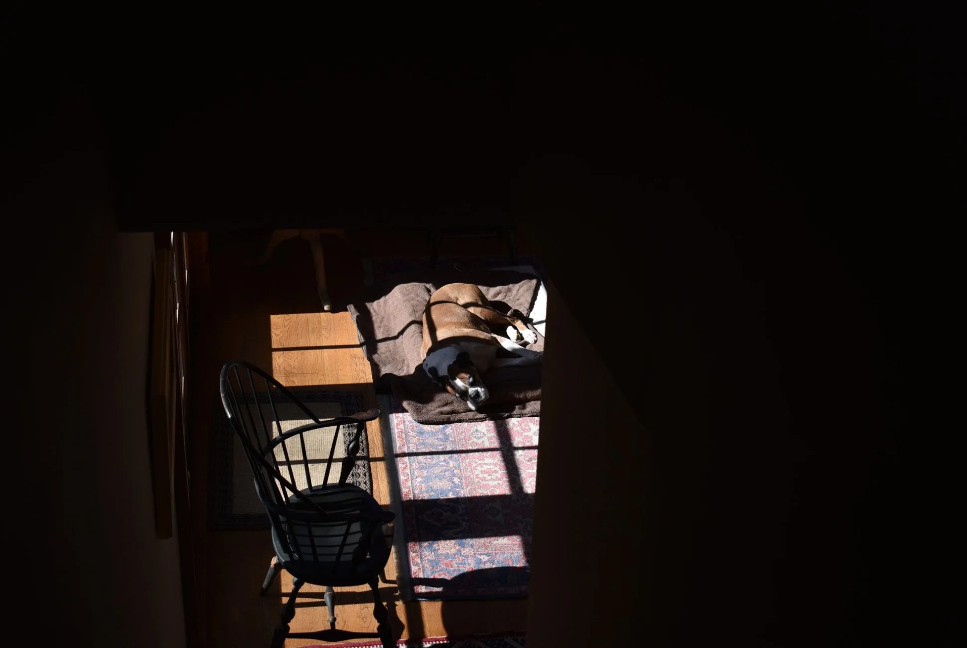 Nikon-D5600-Gear-Patrol-sample-1