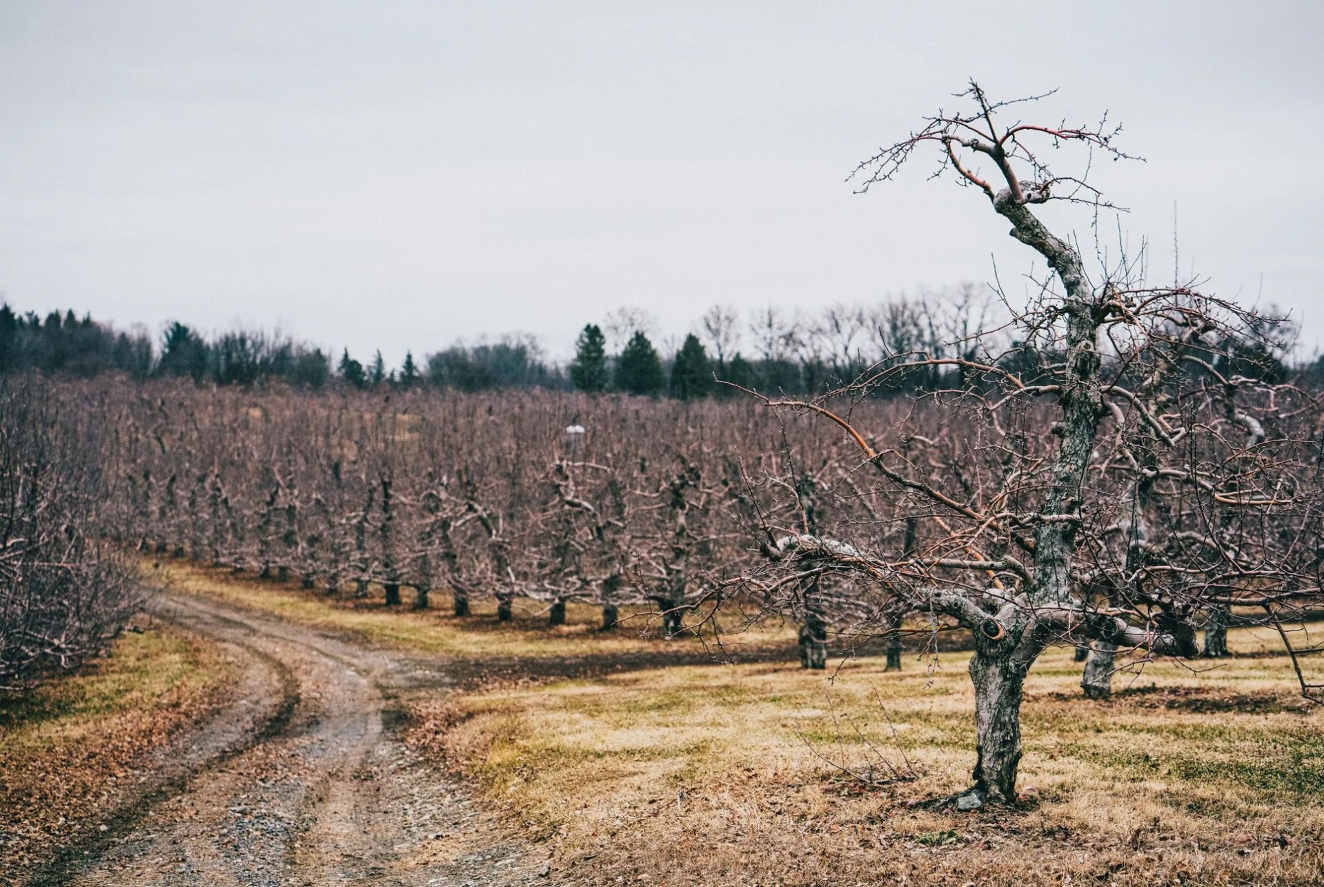 angry-orchard-gear-patrol-Ambiance-3