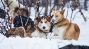 fjallraven-polar-gear-patrol-cinema-lead