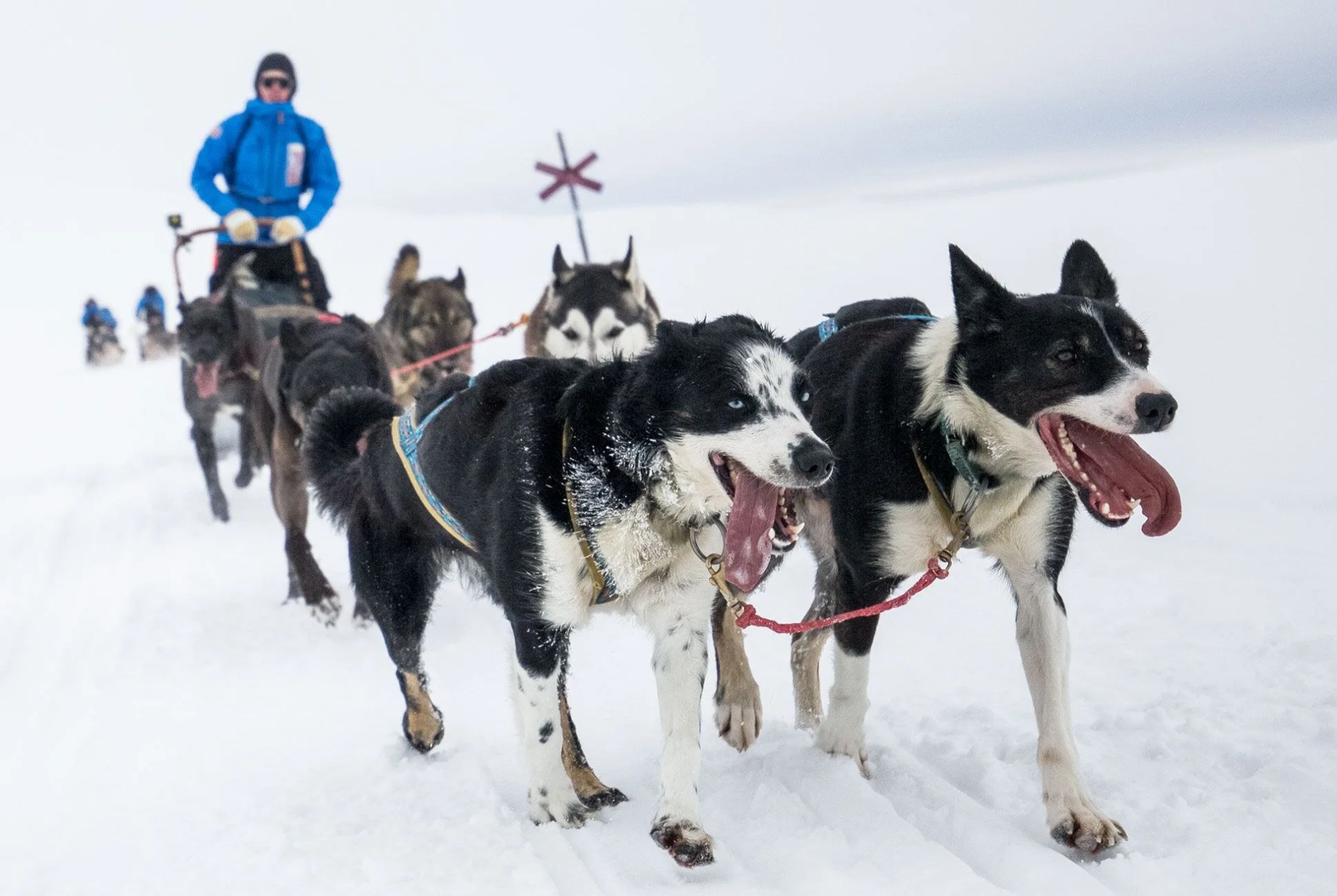 fjallraven-polar-gear-patrol-slide-0