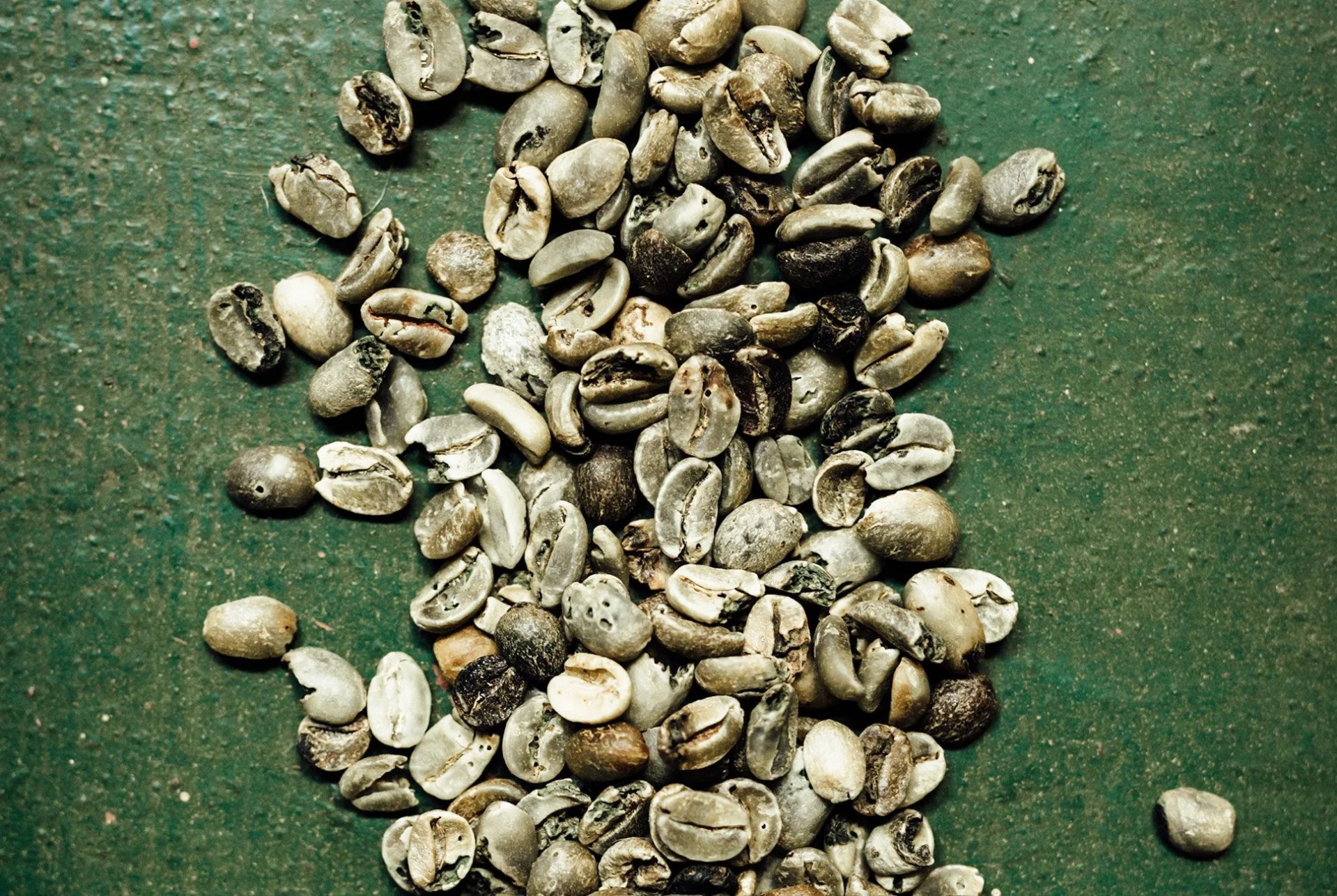 hawaii-coffee-gear-patrol-body-4