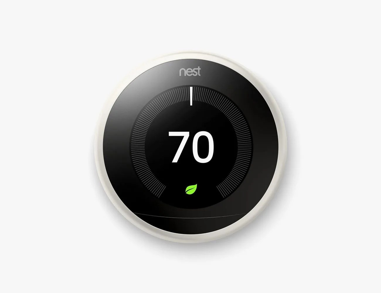 DON-gear-patrol-nest