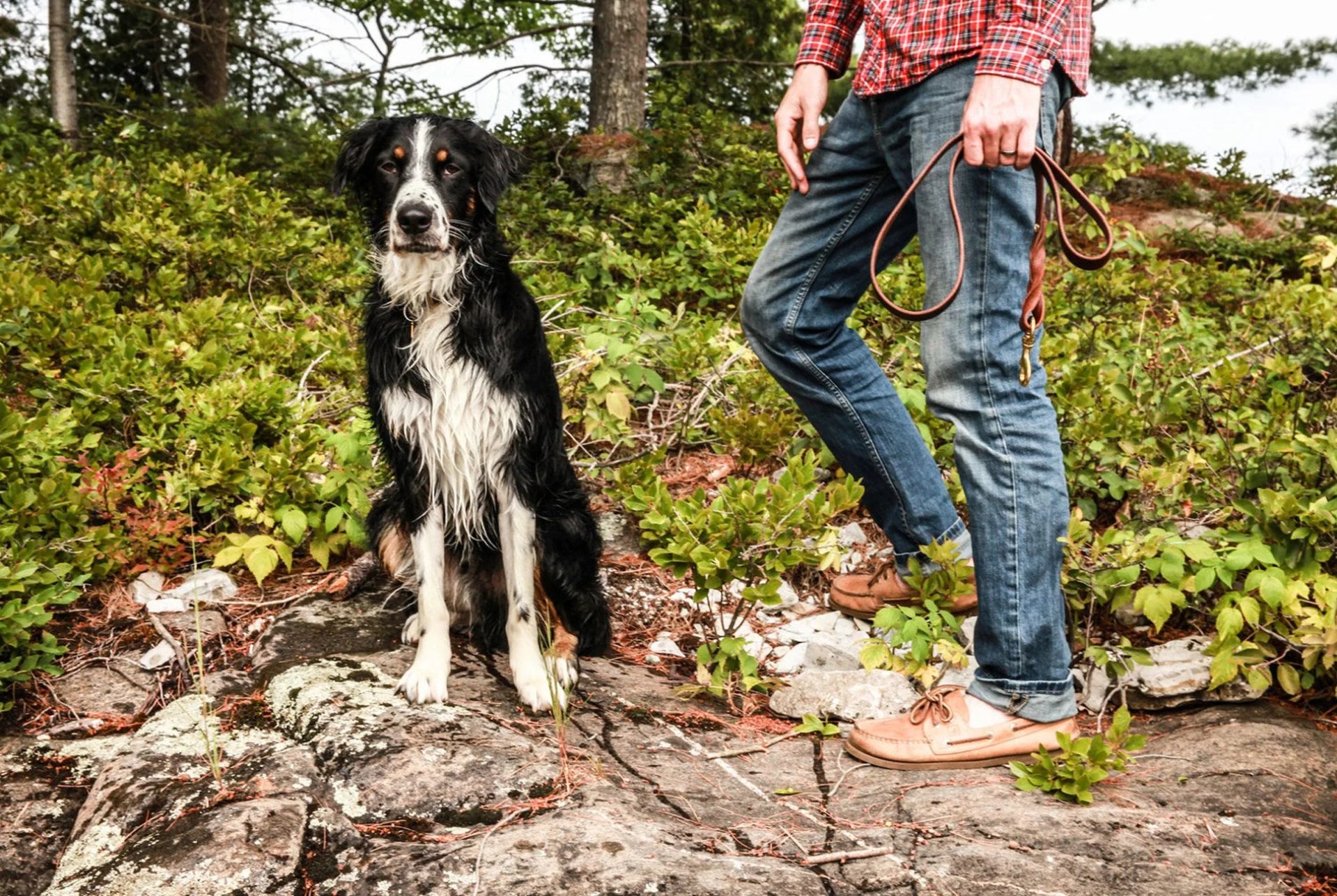 TIG-gear-patrol-Dog-Leash