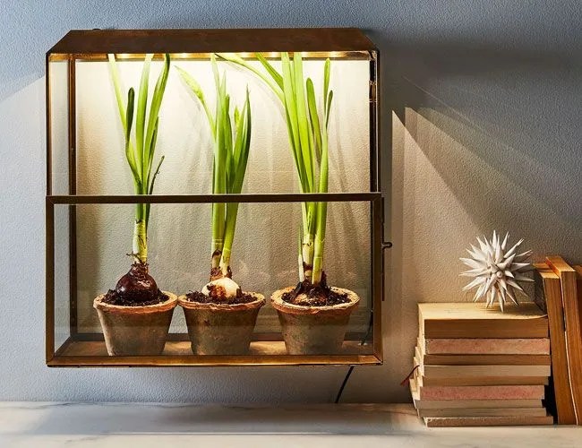 indoor-gardens-gear-patrol-food-52