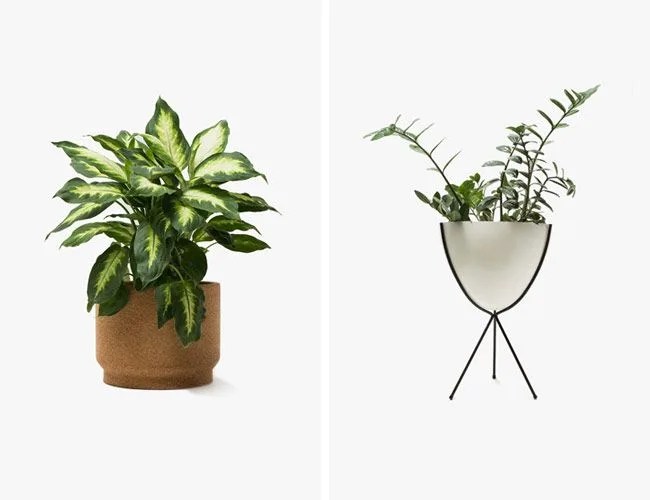 need-supply-planters-sale-gear-patrol-full-feature