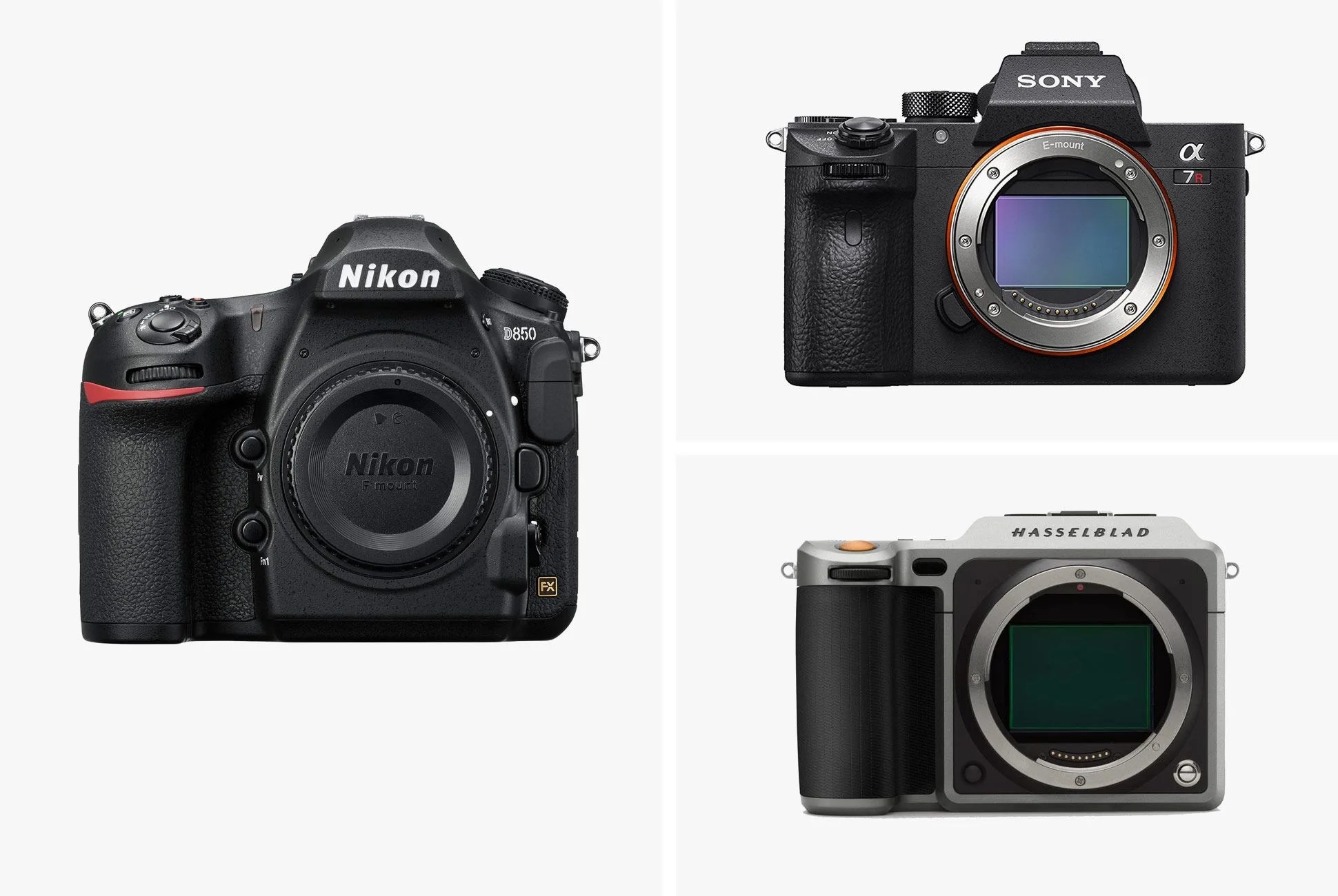 The-5-Best-New-Cameras-of-2017-gear-patrol-full-lead