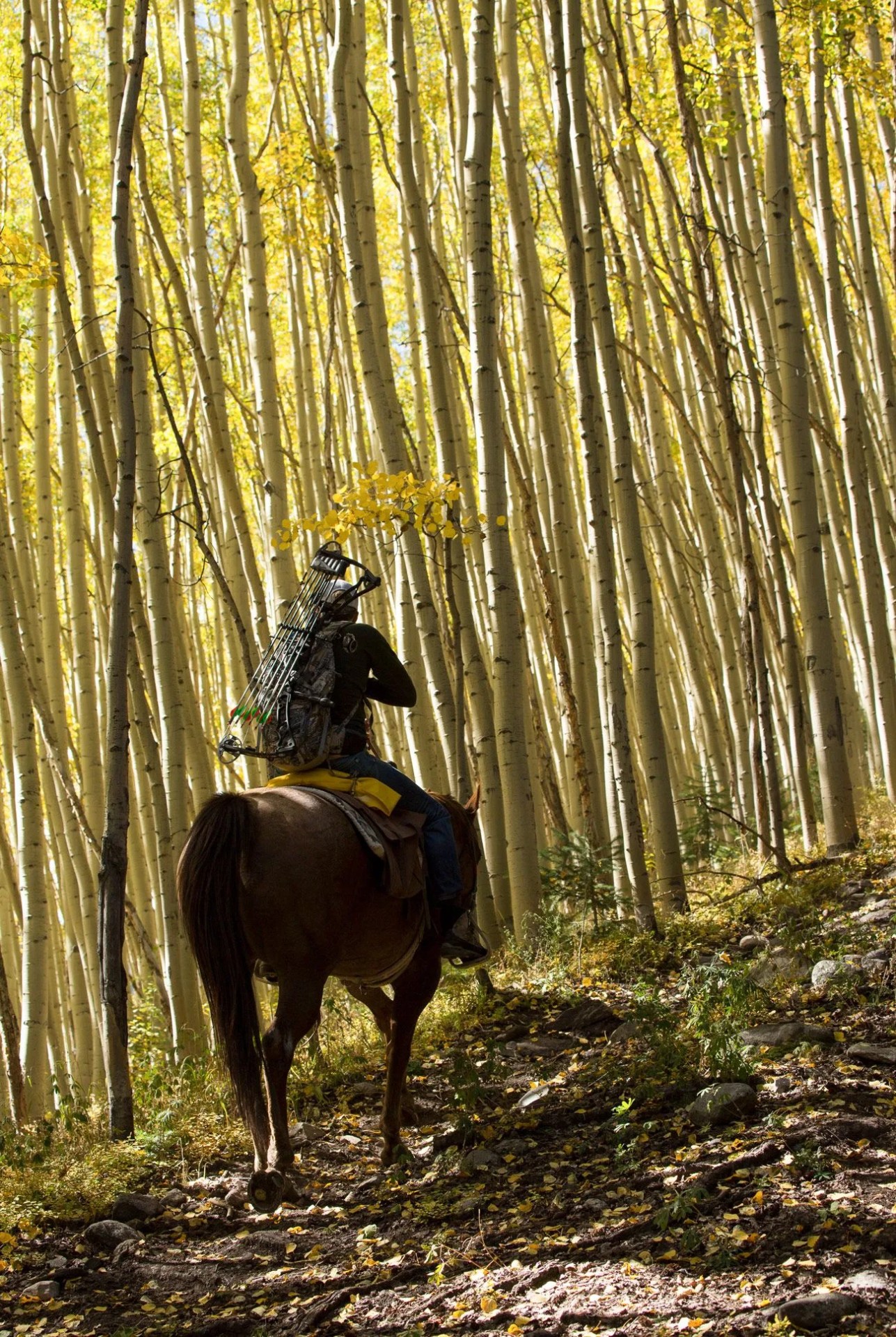 Elk-Hunting-Gear-Patrol-Ambiance-1