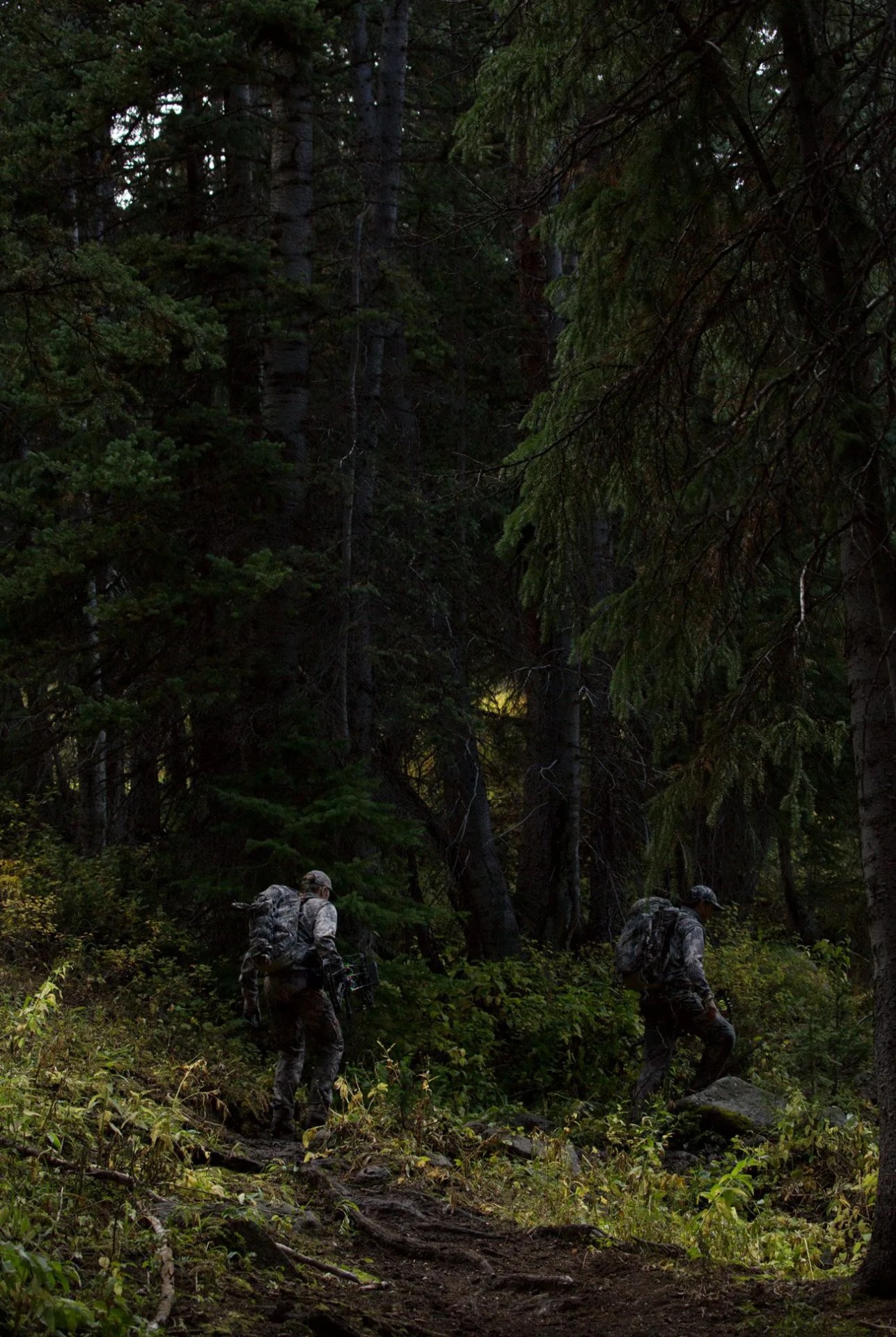 Elk-Hunting-Gear-Patrol-Ambiance-4