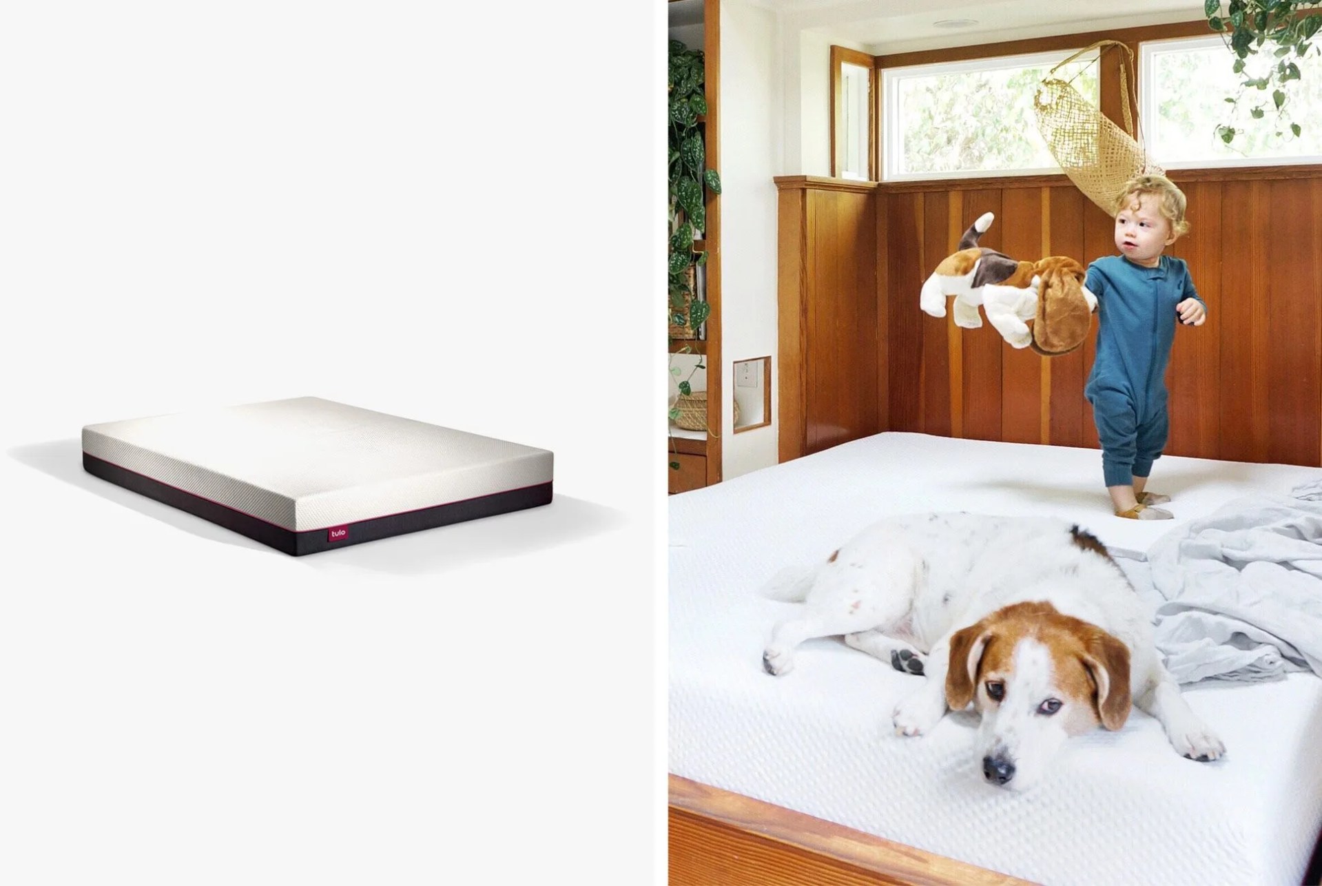 Tulo-Mattress-gear-patrol-lead-full