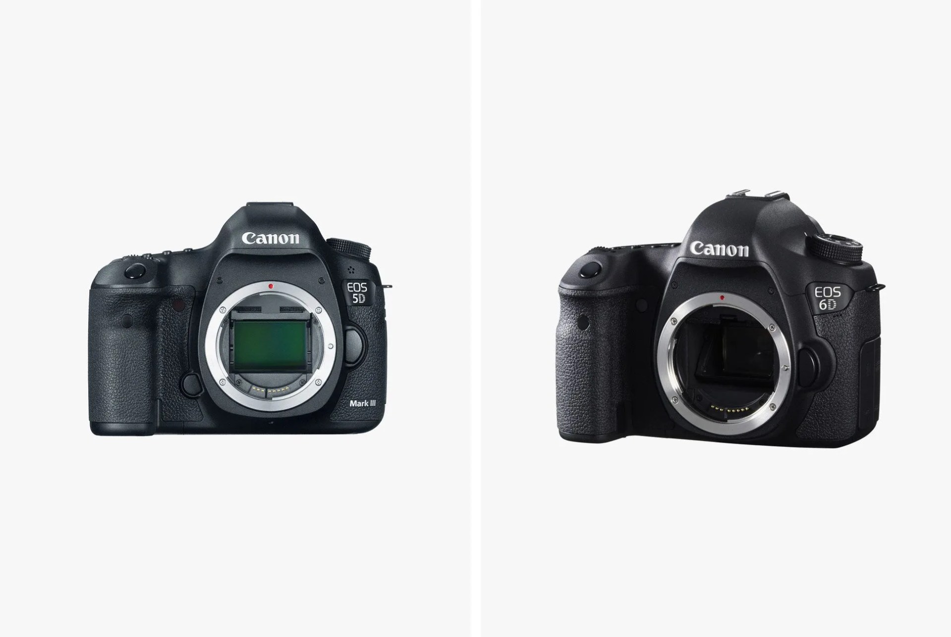 Canon-5D-Mk-III-and-6D-gear-patrol-full-lead