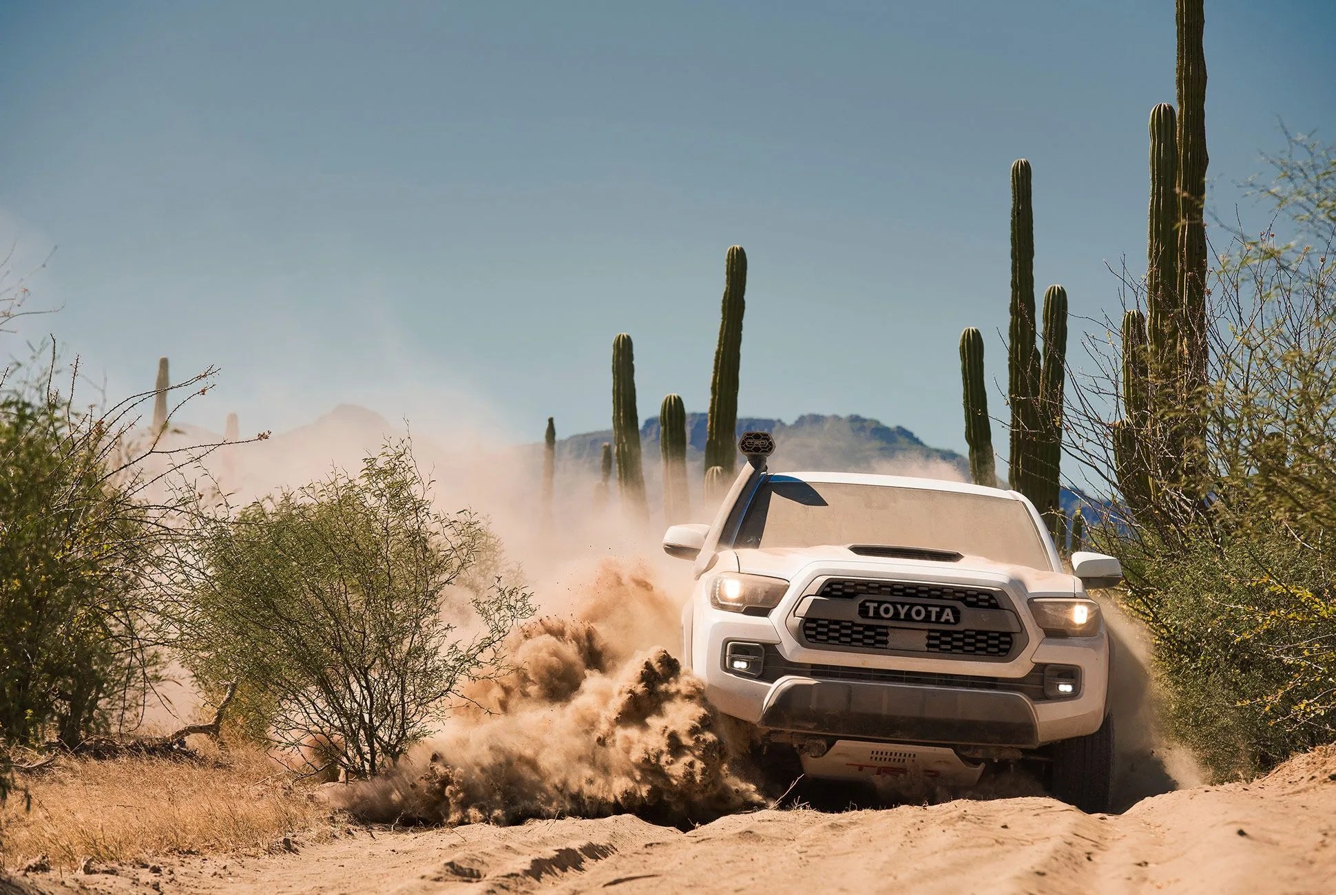 Toyota-TRD-Pro-Lineup-gear-patrol-slide-2