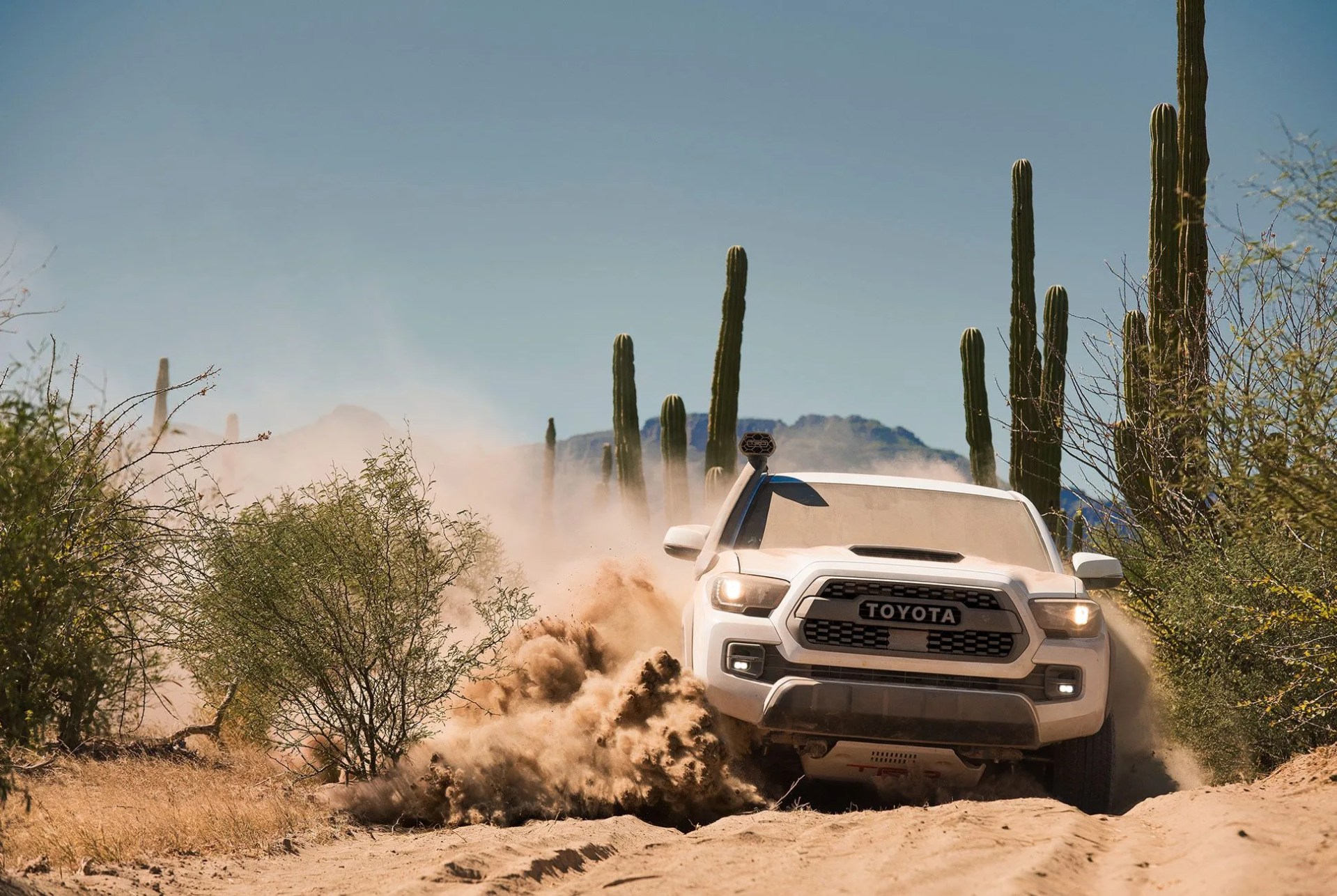 Toyota-TRD-Pro-Lineup-gear-patrol-slide-2