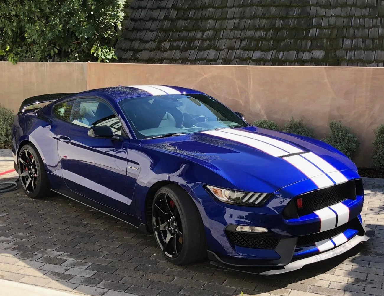 5-Used-Top-Trim-Sports-Cars-gear-patrol-2016-Ford-Mustang-Shelby-GT350R