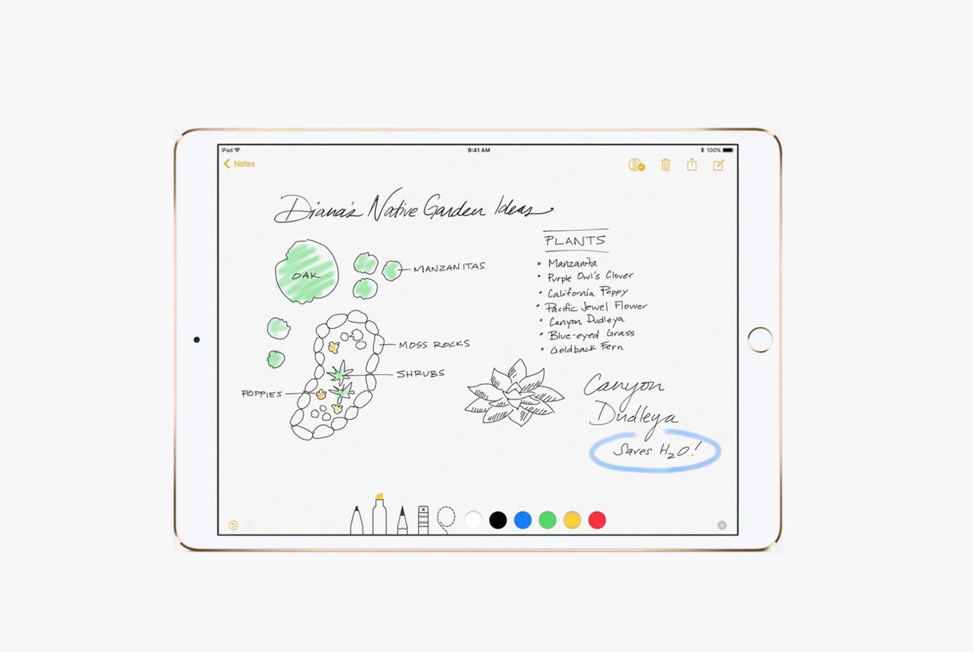 Flipboard-iPad-Pro-Notes-Gear-Patrol