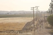 leroica-ca-gear-patrol–5745