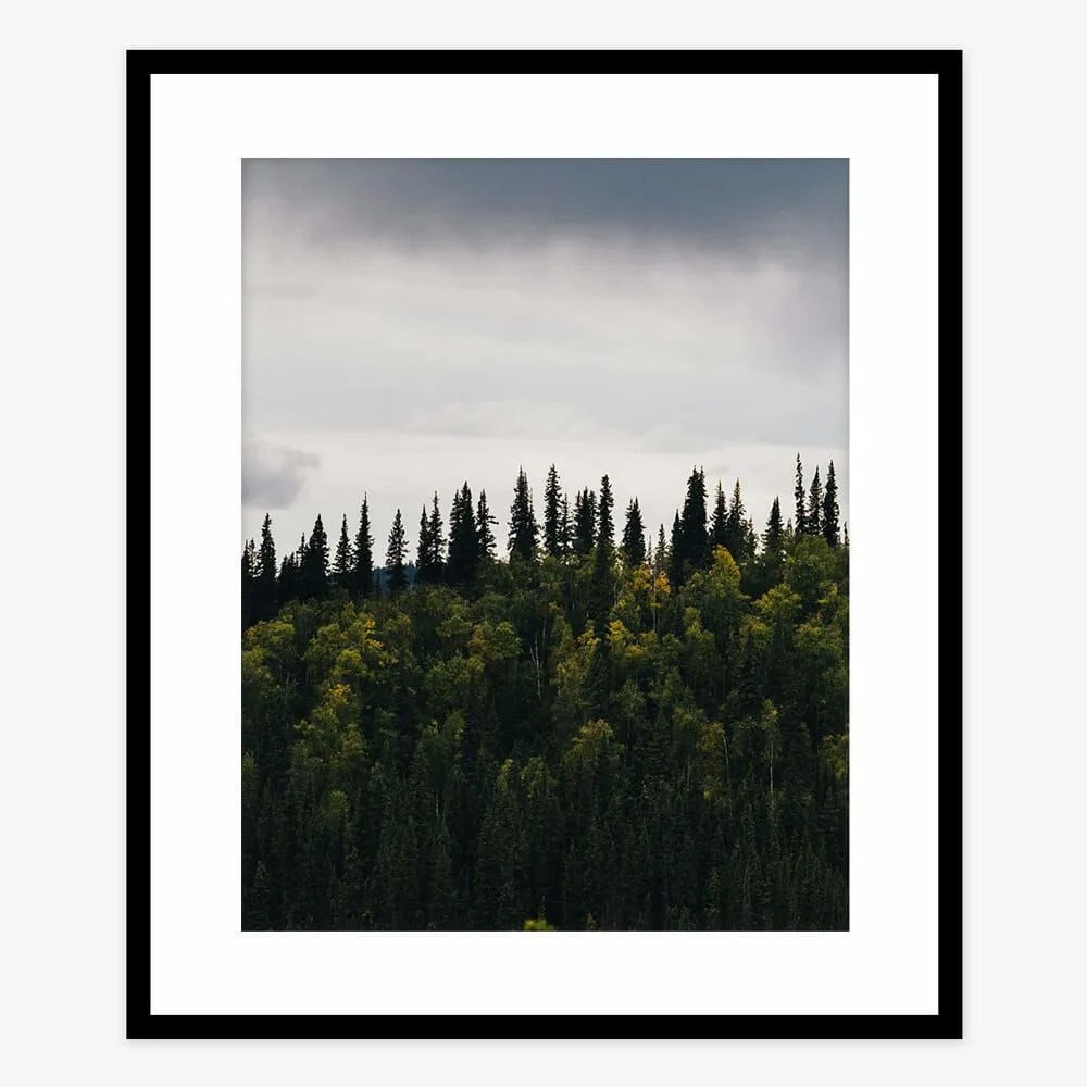 The-12-Best-Father’s-Day-Gifts-for-the-Outdoorsman-gear-patrol-Treeline-Print
