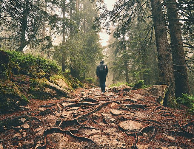 day hikes