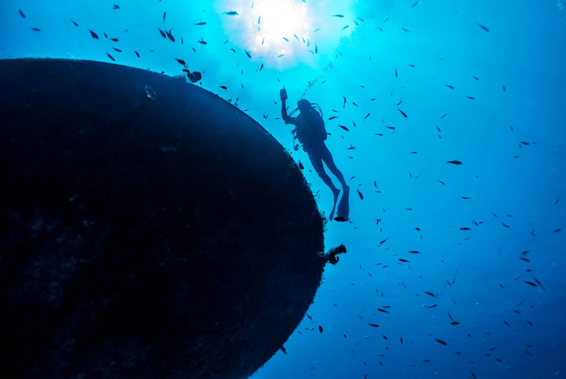person diving underwater