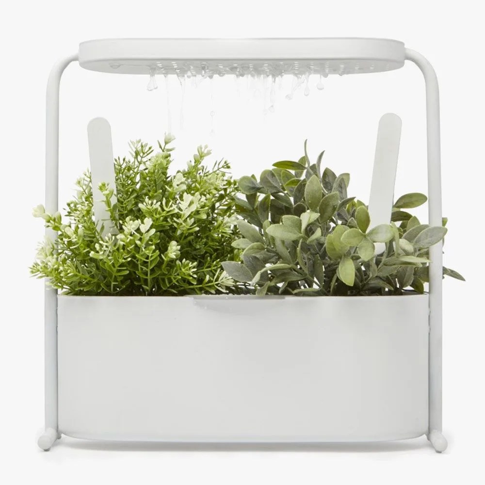 FDGG-gear-patrol-chef-Umbra-Giardino-Kitchen