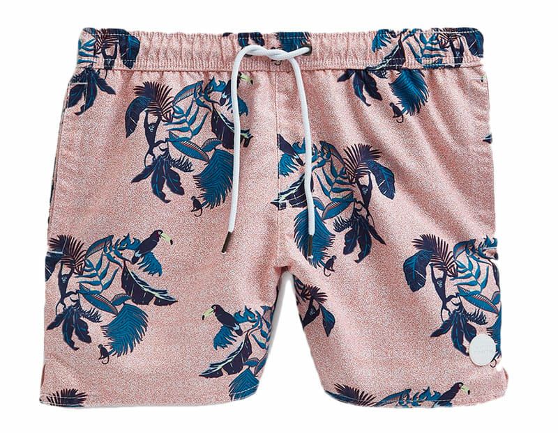 Need-Supply-Swim-gear-patorl-jangala