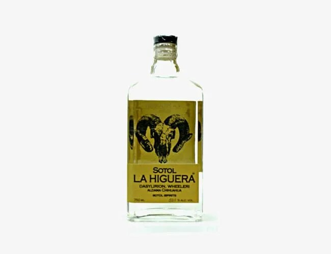 Sotol-Gear-Patrol-Higuera