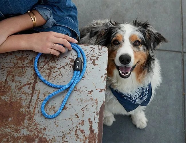 atlas-pet-company-gear-patrol-feature