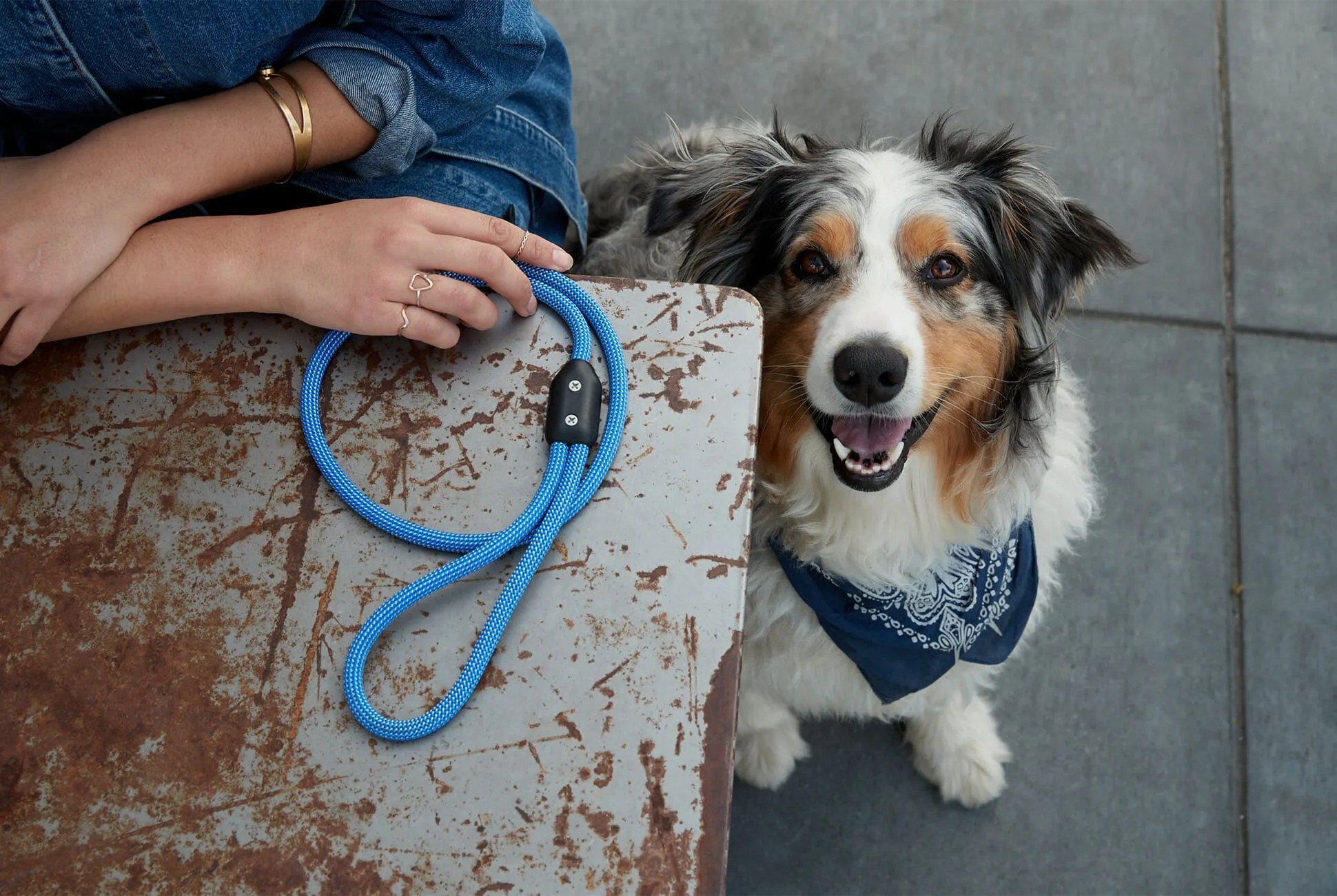 atlas-pet-company-gear-patrol-full lead