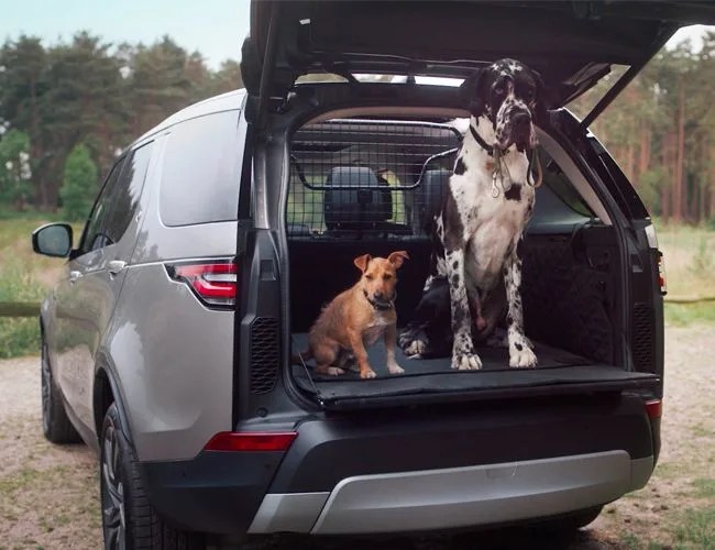 Land-Rover-Dog-Acc-gear-patrol-feature