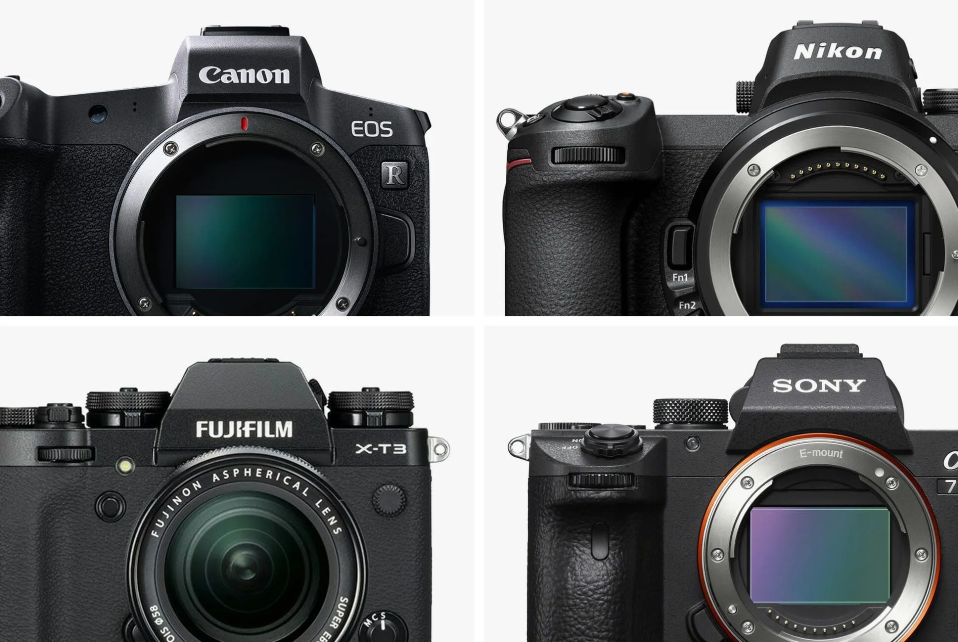 New-Camera-Season-Canon-Nikon-Sony-Fuji-Gear-Patrol-Lead-Full