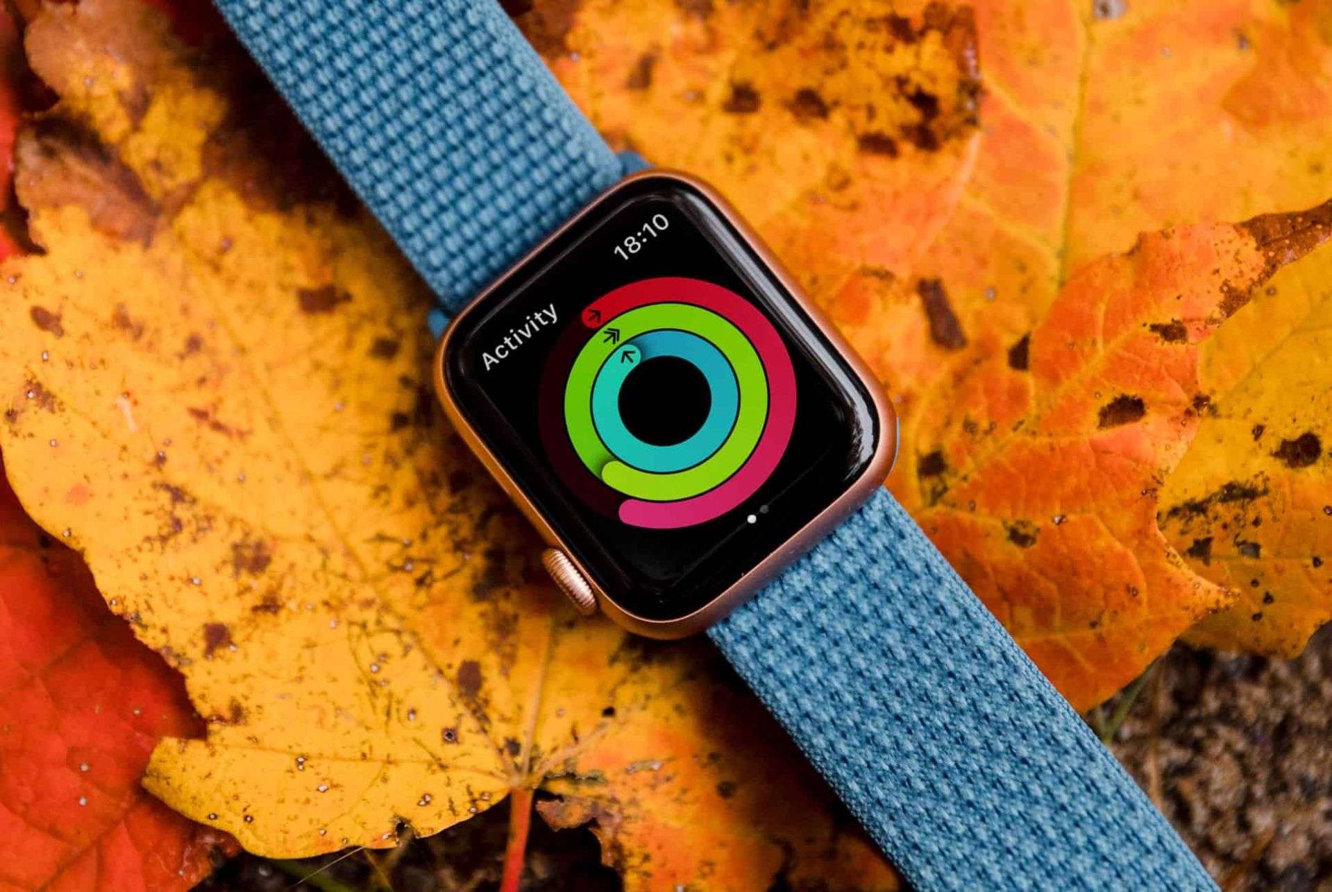 Best-GPS-Watches-for-Hiking-gear-patrol-apple-watch-4