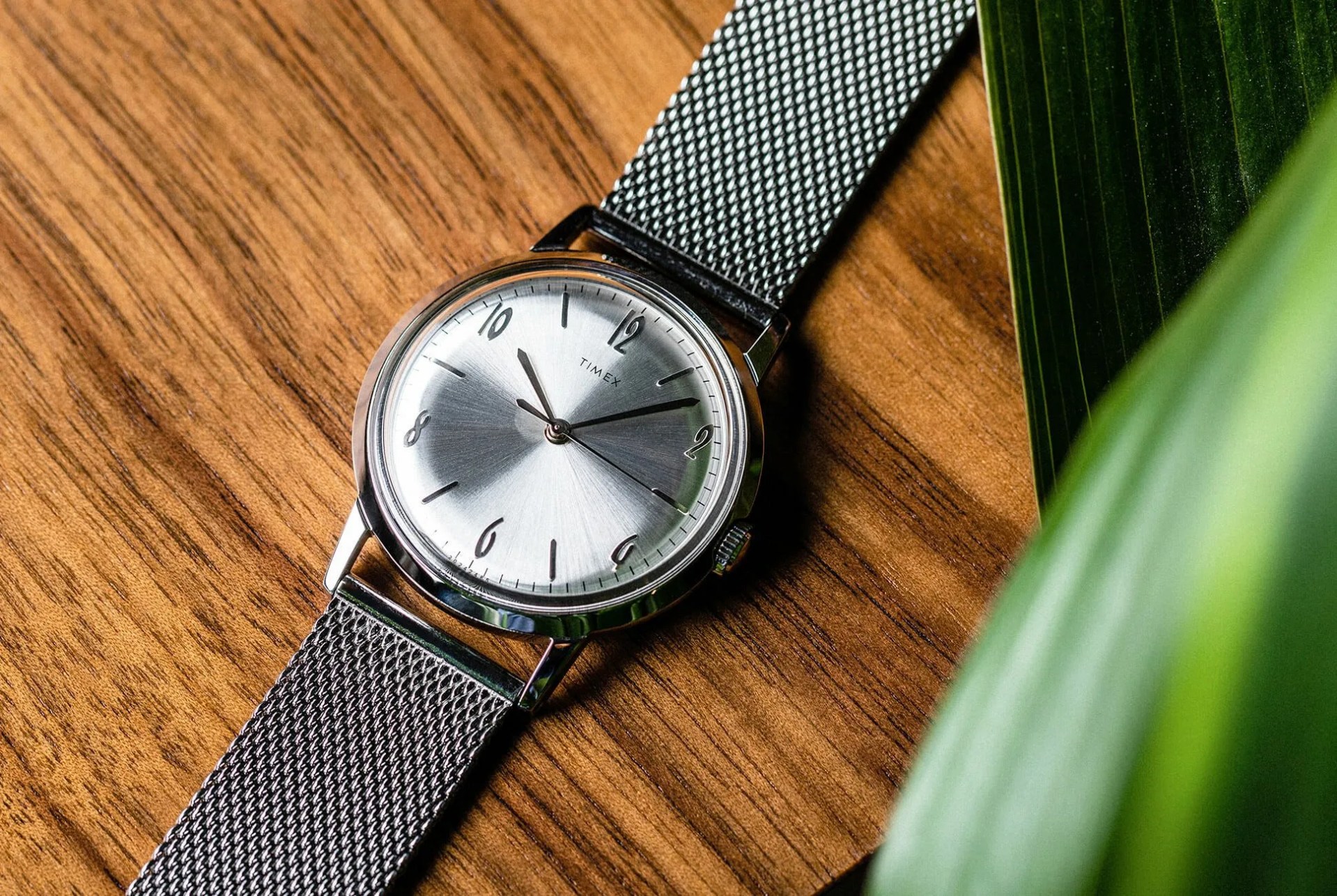 Timex-Marlin-Mesh-gear-patrol-lead-full