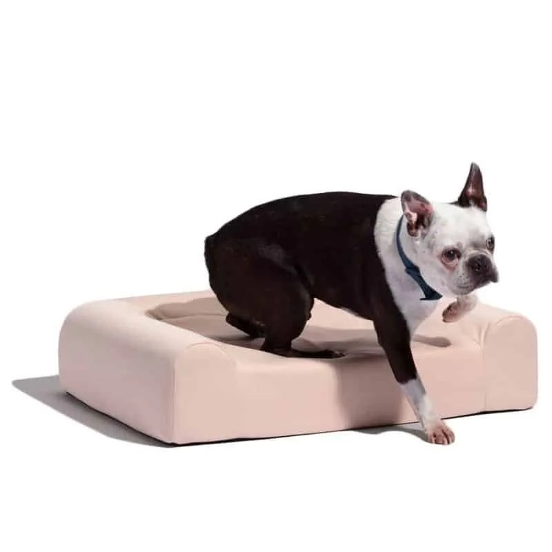 Wild-Ones-Gear-Patrol-Bed