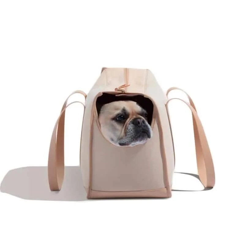 Wild-Ones-Gear-Patrol-Carrier