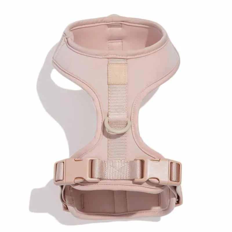Wild-Ones-Gear-Patrol-Harness