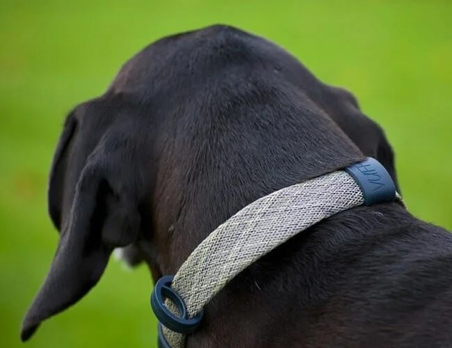 Vuff-Collar-Gear-Patrol-Feature