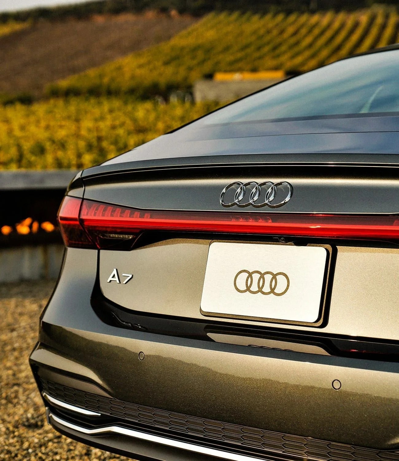 Audi-A6-A7-gear-patrol-ambiance