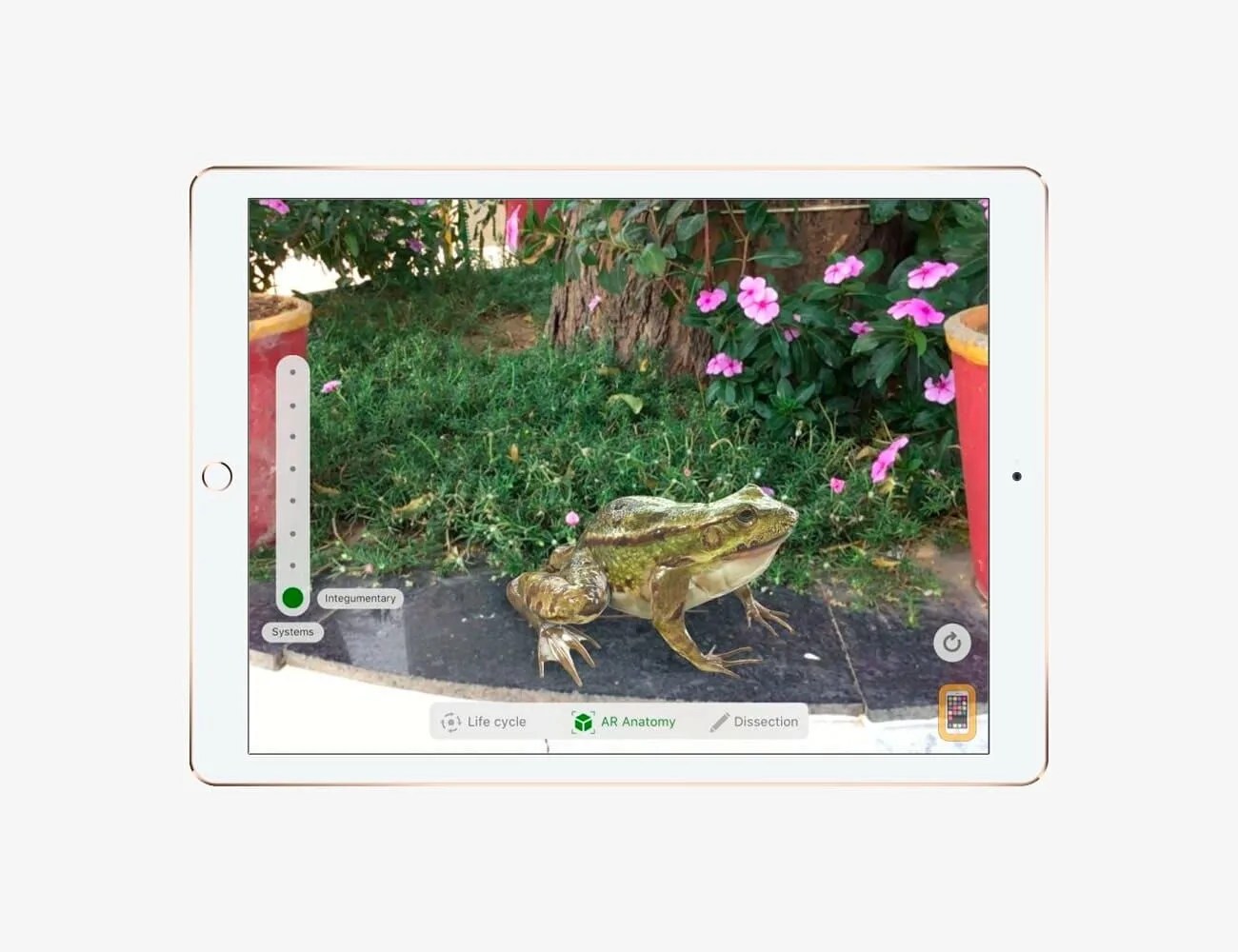 Best-Apps-Of-2018-Gear-Patrol-froggipedia