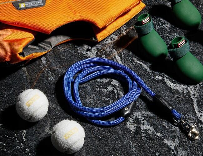 Best-Gifts-For-Dog-Lovers-Gear-Patrol-Feature