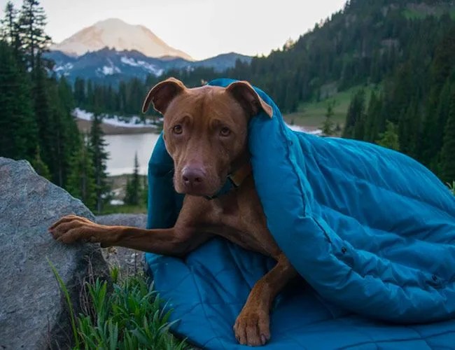 Whyld-River-Sleeping-Bag-Gear-Patrol-Feature