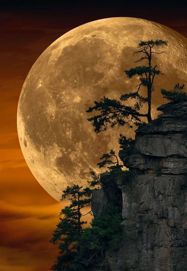 Photo-Manipulation-Gear-Patrol-Ambiance-1