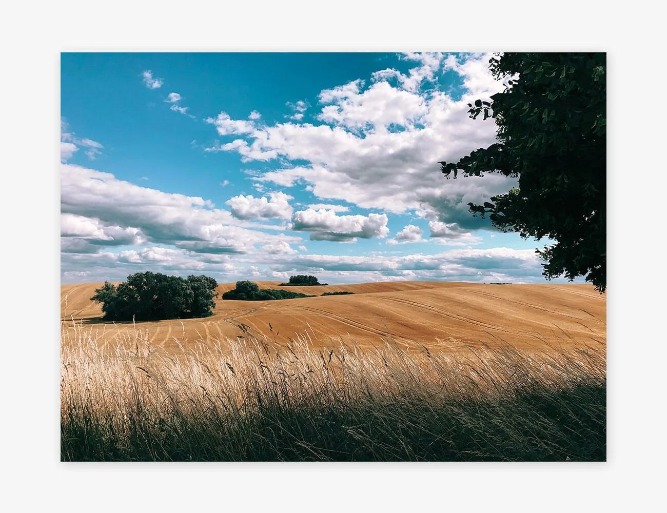iPhone-Photography-Winners-gear-patrol-Robert-Glaser