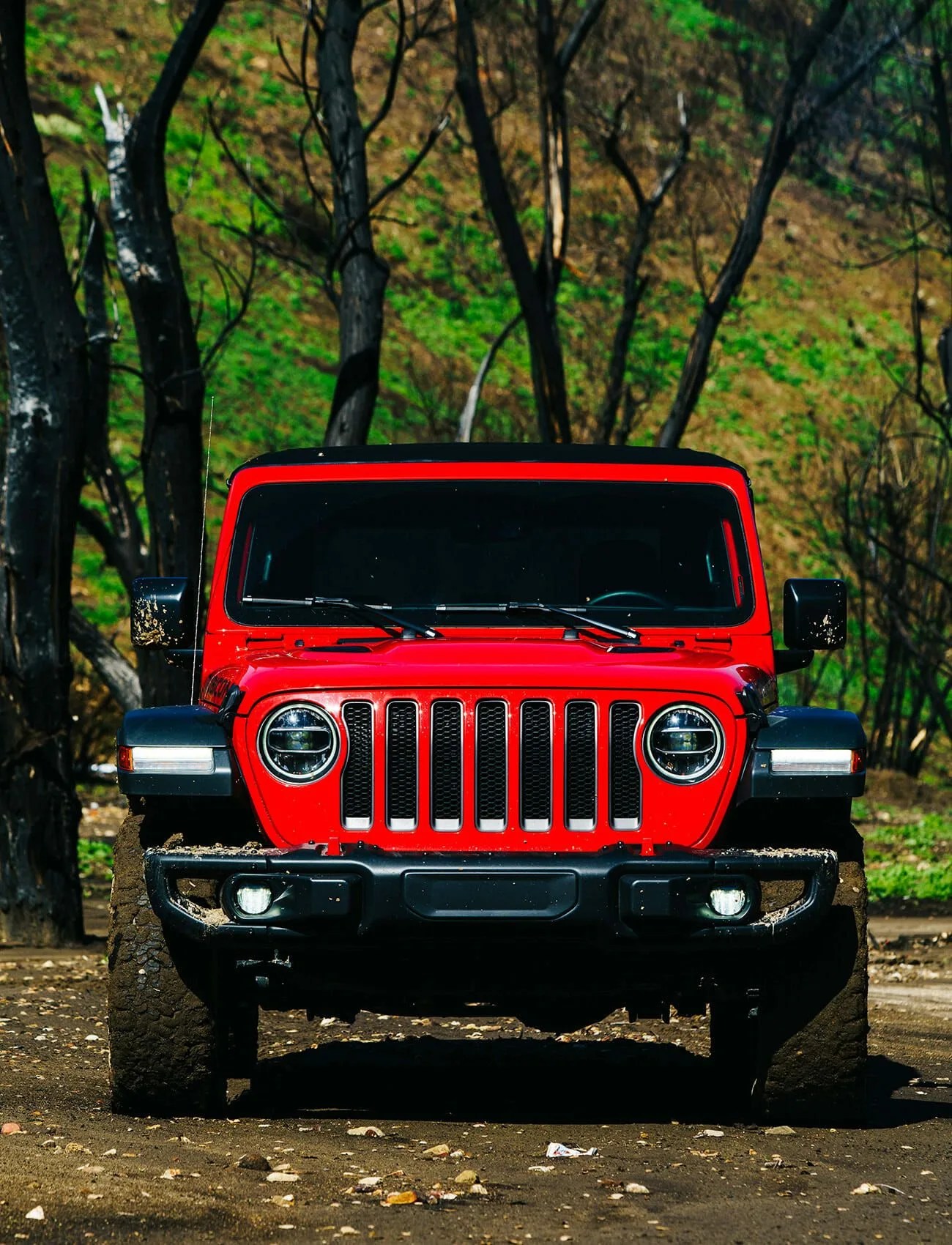 Jeep-Wrangler-2-0-Turbo-gear-patrol-ambiance-1