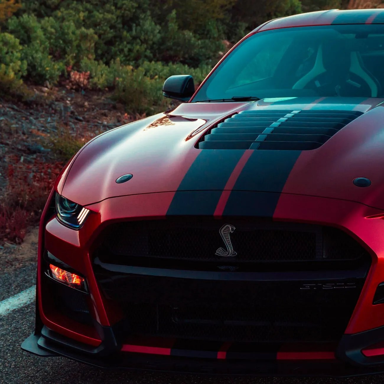 2020-Ford-Mustang-Shelby-GT500-gear-patrol