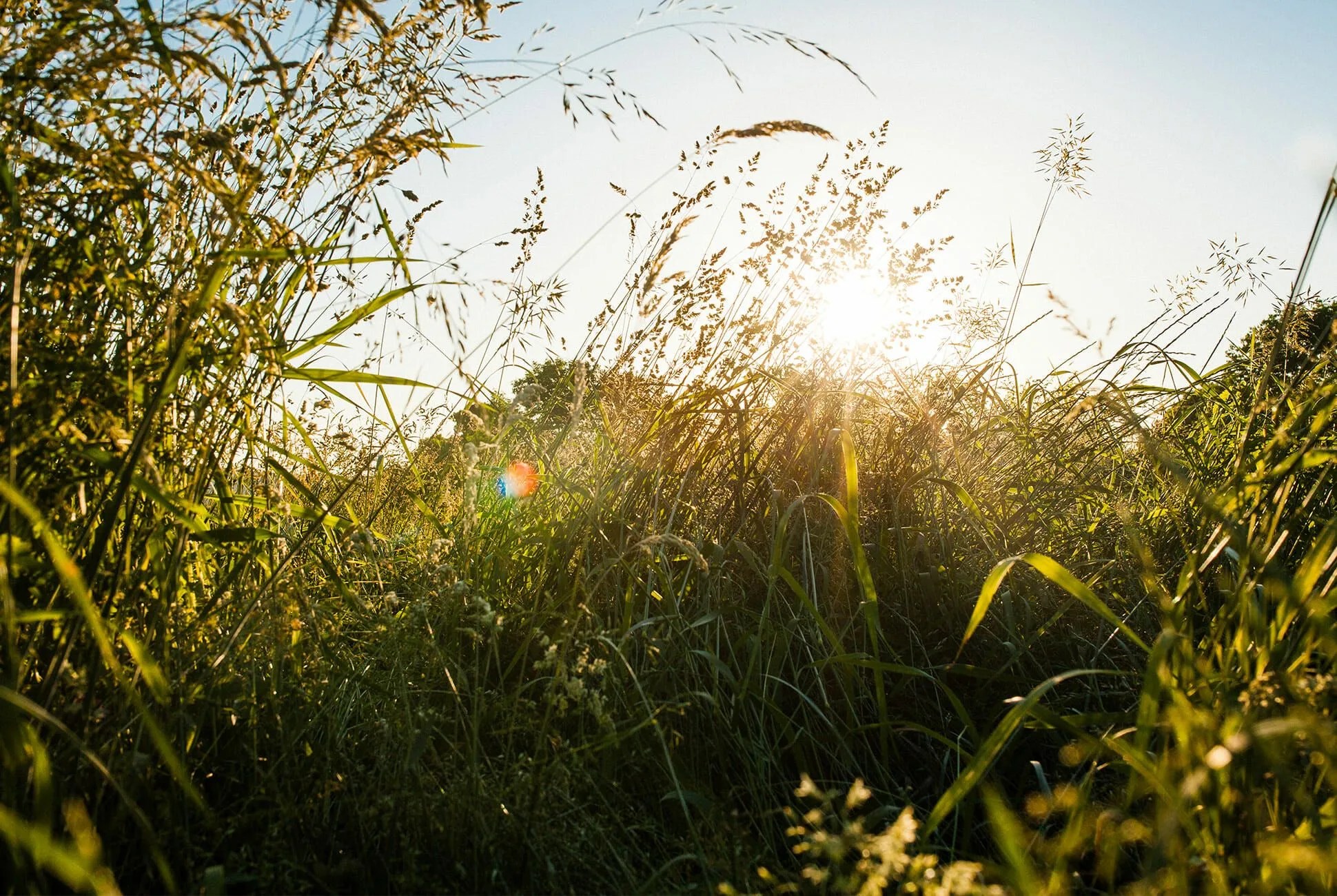 Everything-You-Need-to-Avoid-Ticks-This-Summer-gear-patrol-lead-full